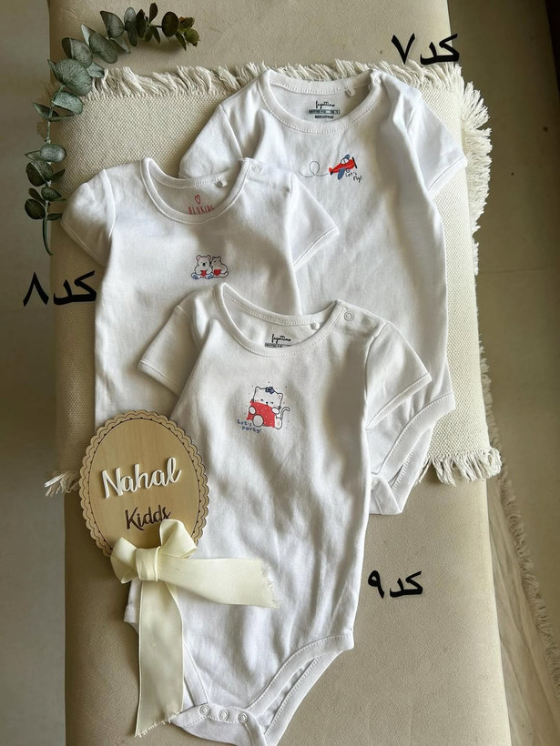 بادی اقتصادی وارداتی کد۱۰۴۶